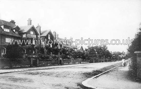 Hartland Road, Epping, Essex. c.1905